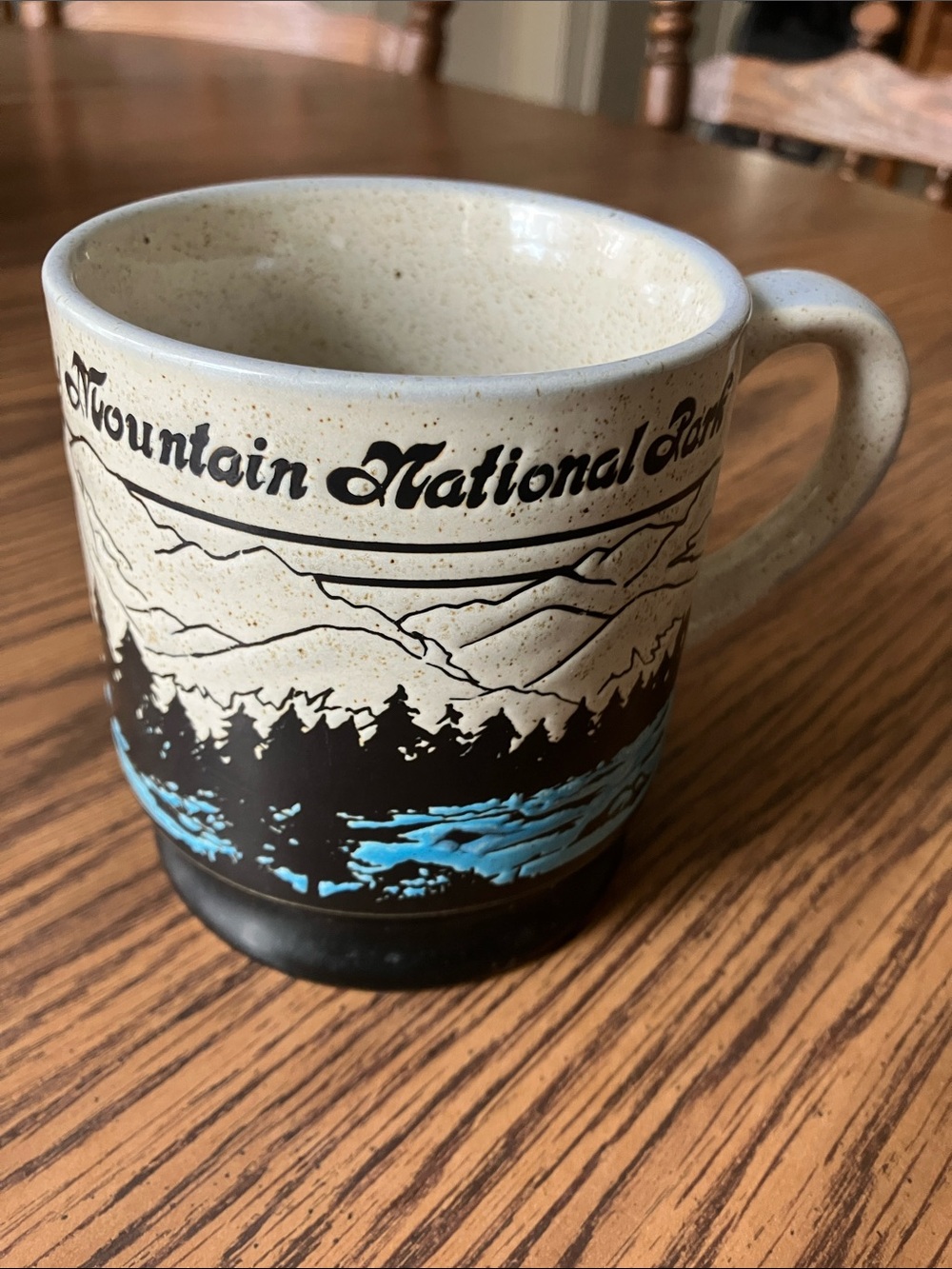 VTG Rocky Mountain National Park Speckled Mug